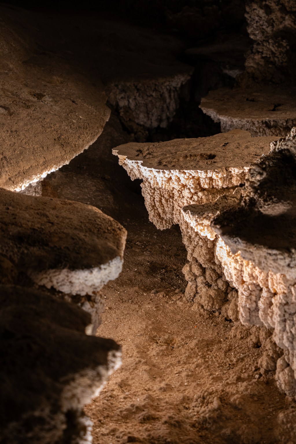 Carlsbad Caverns National&nbsp;Park